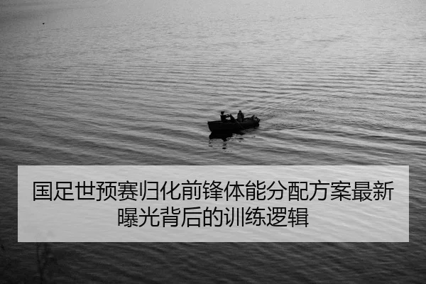 guo-zu-shi-yu-sai-gui-hua-qian-feng-ti-neng-fen-pei-fang-an-zui-xin-bao-guang-bei-hou-de-xun-lian-luo-ji-2-613.jpg